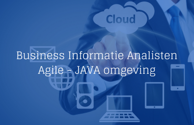 Business Informatie Analisten Business Informatie Analisten
