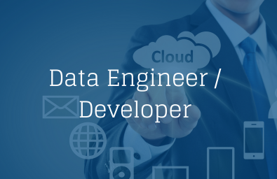 Data Engineer Developer Data Engineer Developer