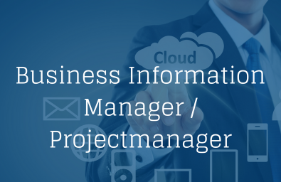 Business Information Manager (3) Business Information Manager (3)