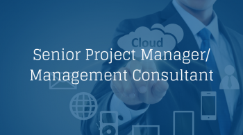 Senior Project Manager