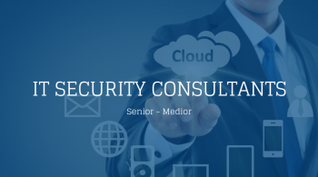 IT Security Consultants