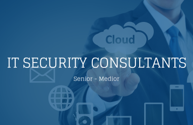 IT Security Consultants IT Security Consultants