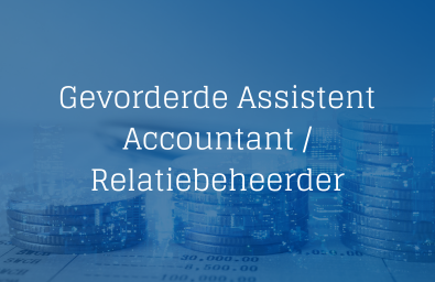 Gevorderde Assistent Accountant - Relatiebeheerder