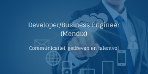 Mendix Developer - Business Engineer