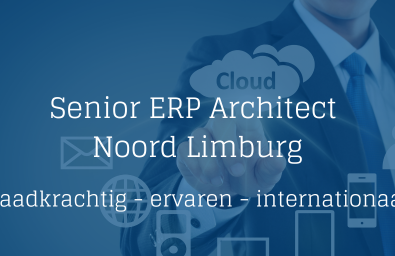 ERP Architect ERP Architect