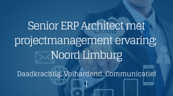 IT Architect Data Analytics & Business Intelligence (1)