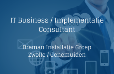 IT Business Consultant Breman