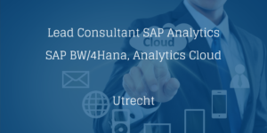 Lead Consultant SAP Analytics