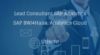 Lead Consultant SAP Analytics