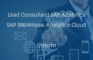 Lead Consultant SAP Analytics