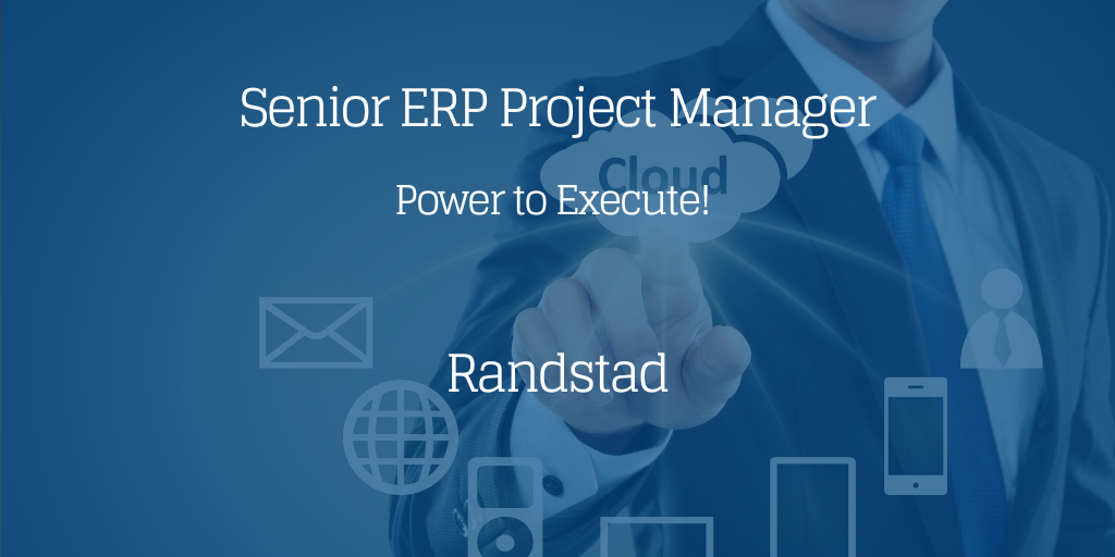 Senior ERP Projectmanager