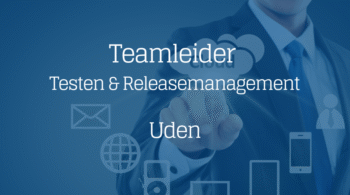 Teamleider Testen Releasemngt Swiss Sense